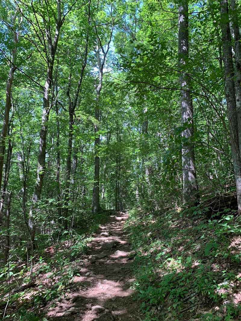 Why This Trail Feels Like Your Private Paradise