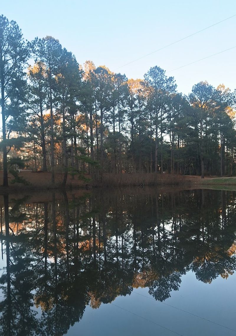 Trails, Ponds, And The Fine Art Of Doing Nothing