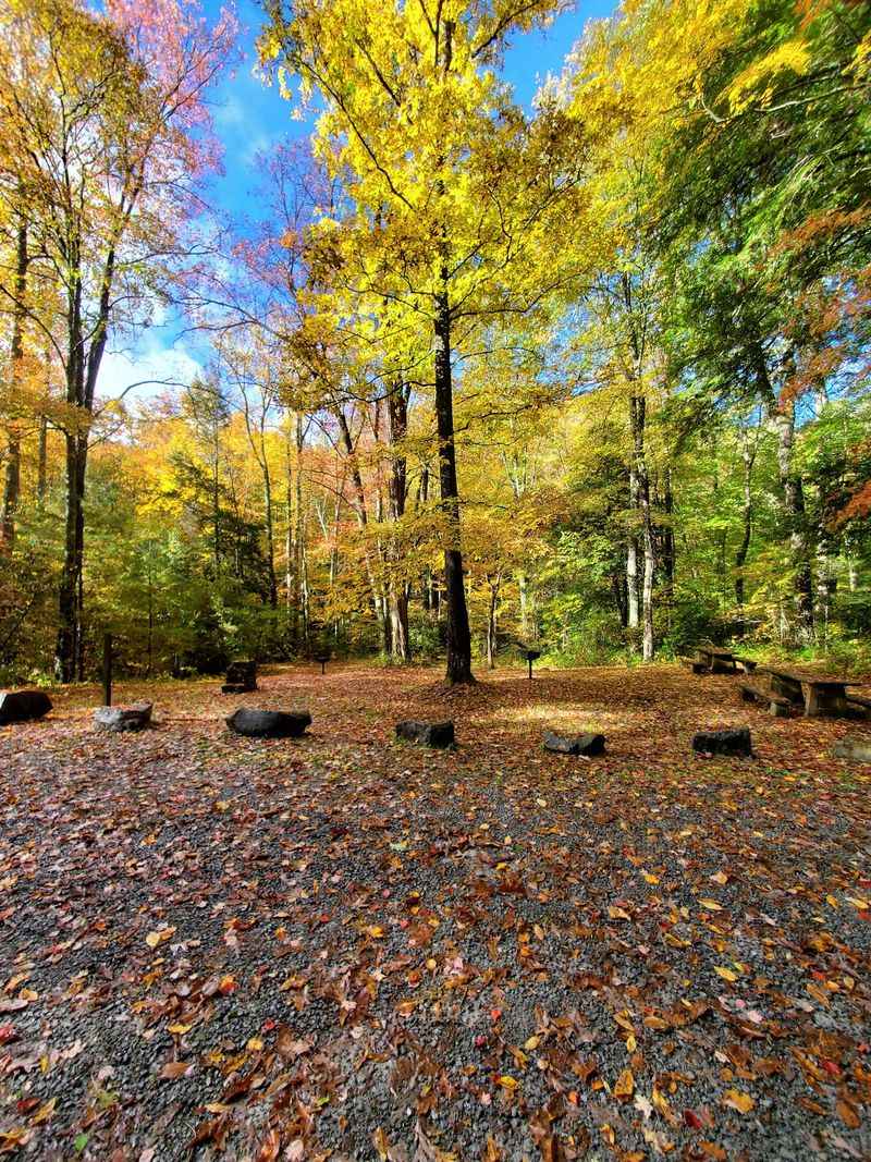 Dennis Cove Campground, Hampton