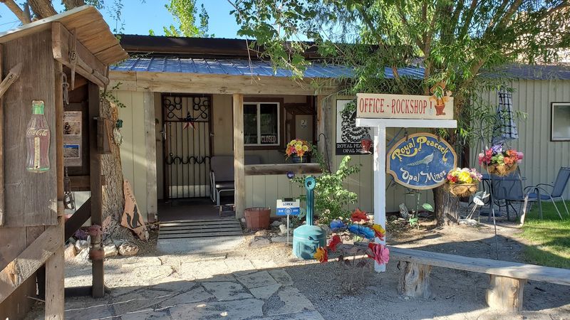 Beyond The Mine: Desert Life, Wildlife, And Community