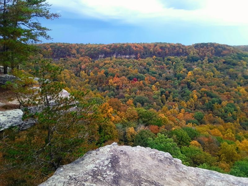 Savage Gulf East Trailhead

