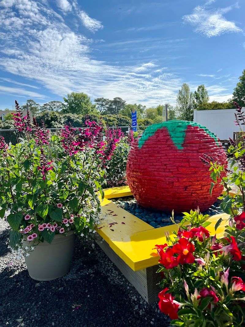 Local Community Support Through Roadside Stands