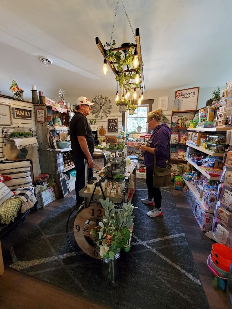 Typical Layout And Design Features Of Old Stores