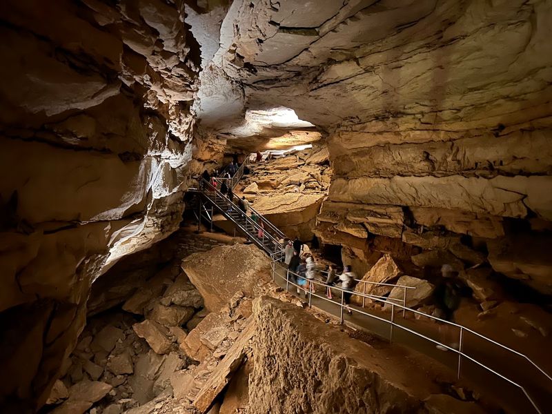 Conservation Efforts Protecting The Cavern