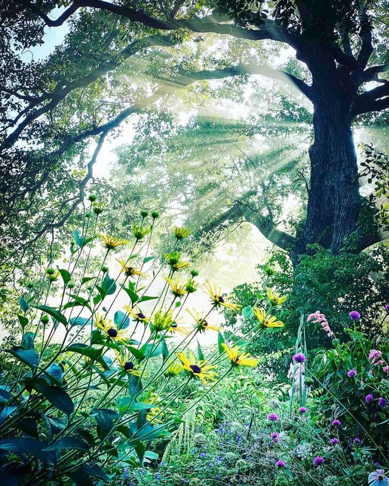 Pollinators Love This Place