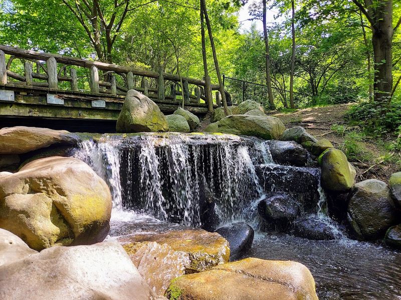 Prospect Park Wooded Edges, Brooklyn