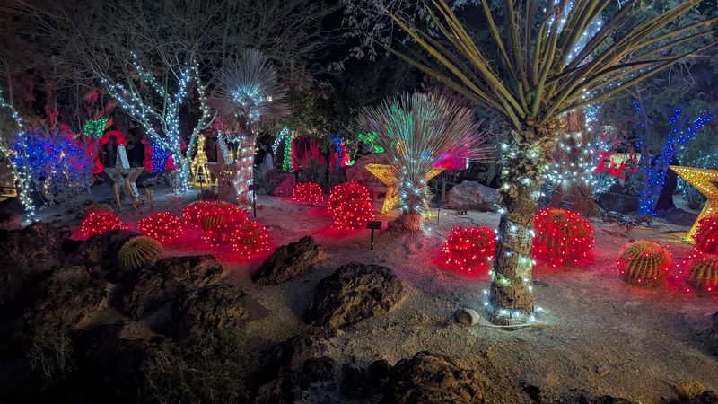 Holiday Lights Turn The Desert Magical