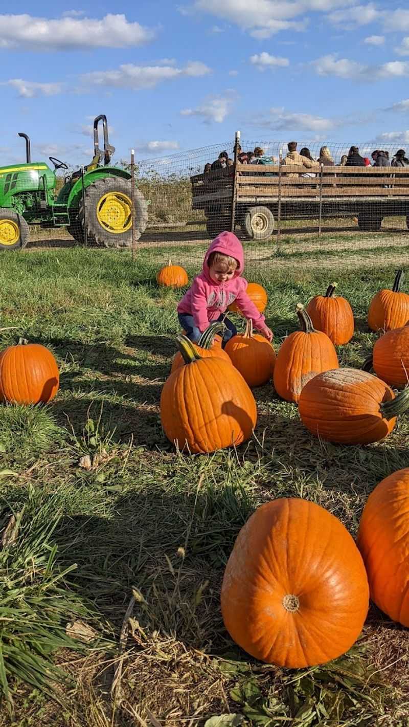 Tips For Planning A Visit During Harvest Season