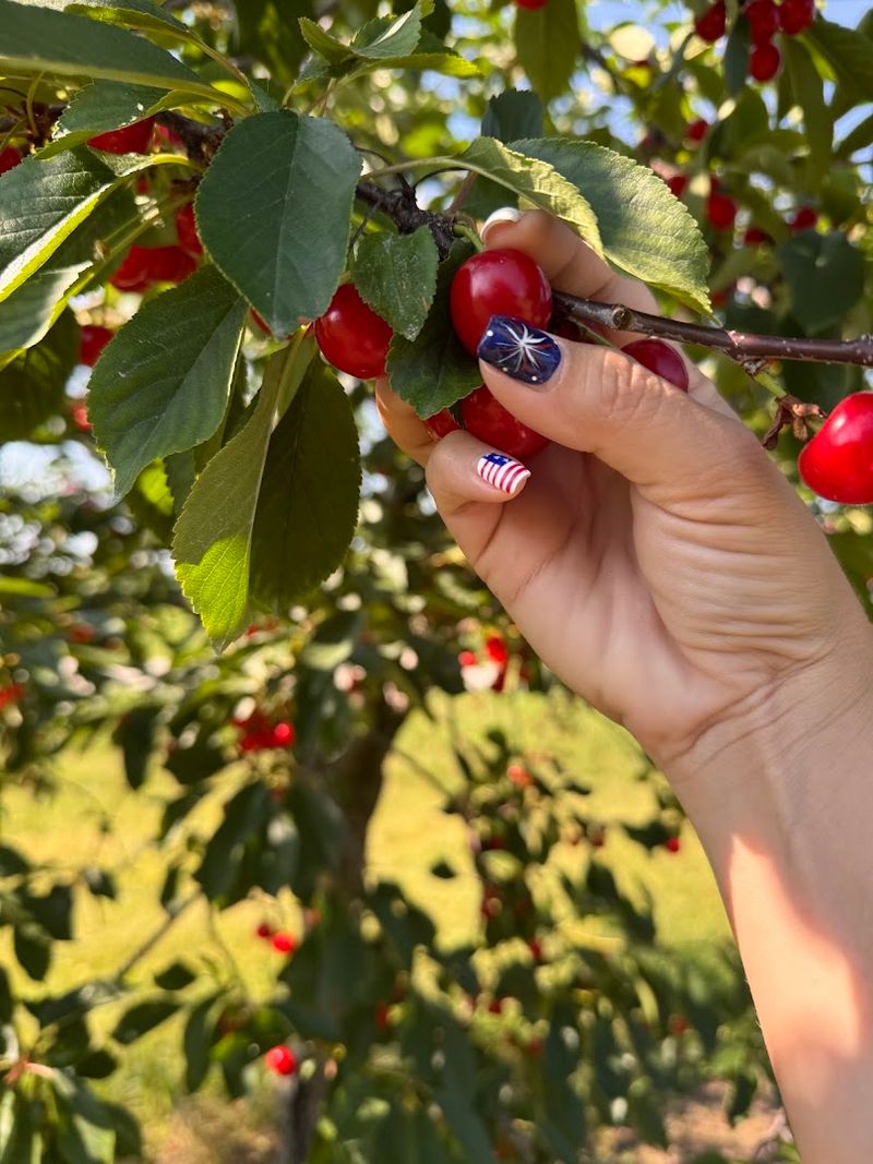 Plan Ahead For A Smooth Picking Day