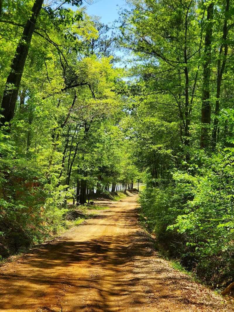 Nature Trails Worth Every Step