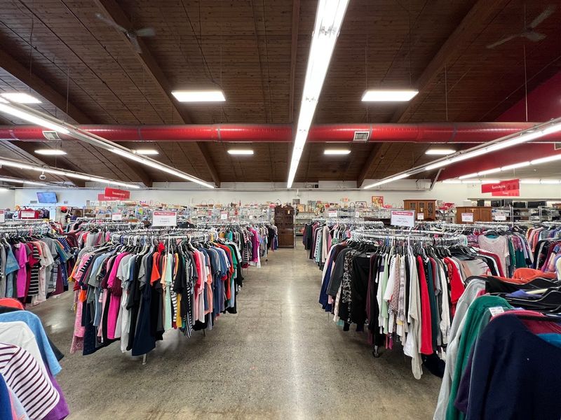 Thrifty Shopper