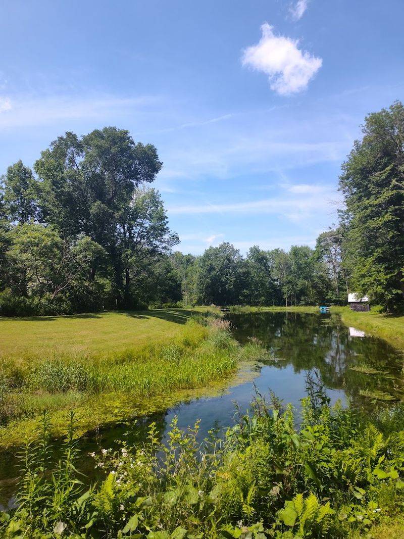 Watersheds And Woodlands Revealed