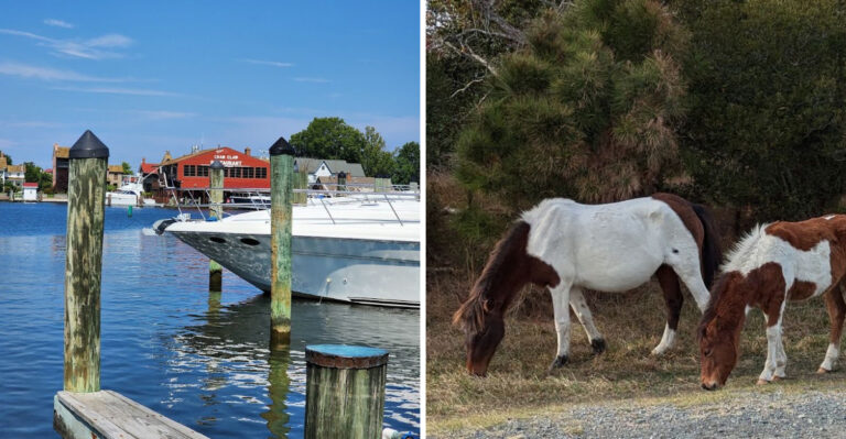 Take This Maryland Road Trip For Coastal Towns, Farm Country And Untouched Wild Beaches