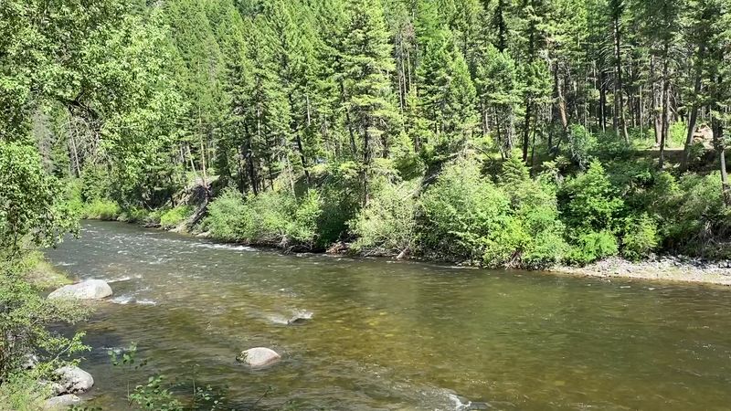 Seasonal Changes Affecting Trout Behavior