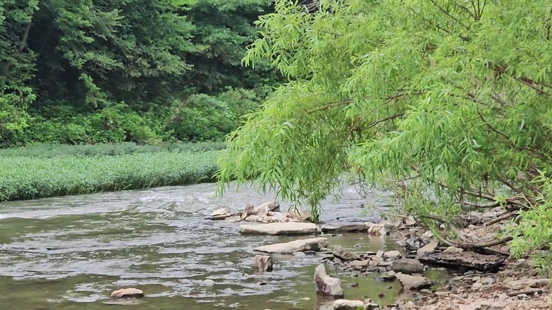 Harpeth River State Park - Hidden Lake, Nashville