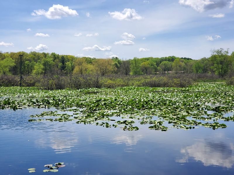 The Oxbow Trail Follows A Lagoon And Quiet River Bottoms