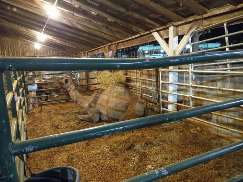 Agriculture At The Heart Of Every Exhibit