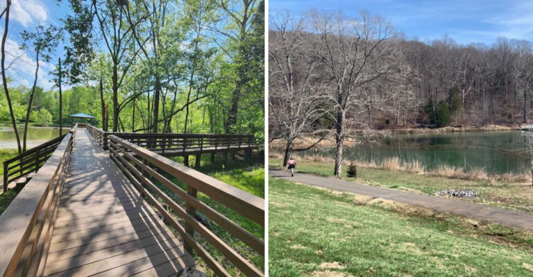 Tennessee Trails Perfect For A First-Time Summer Hiker