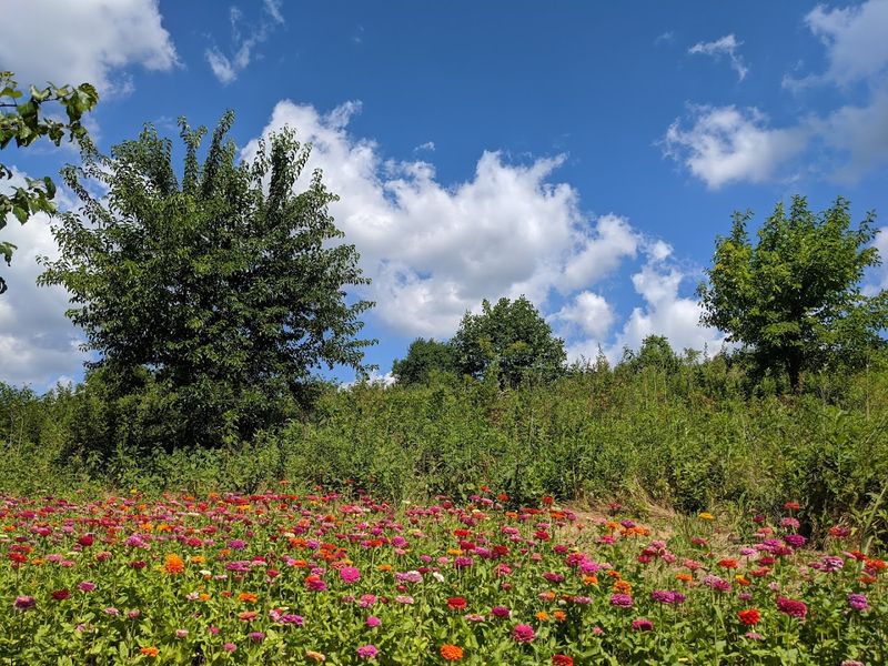 Wildlife Beyond Birds That Fills Every Corner Of The Park