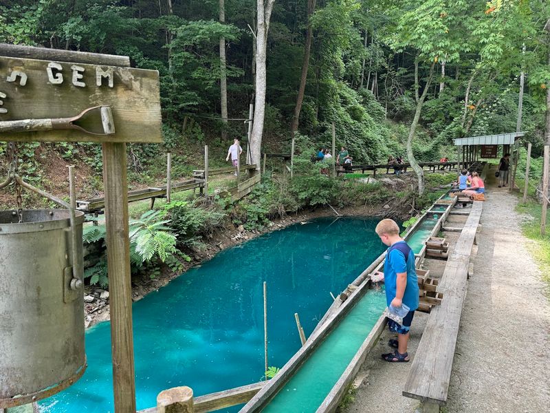 A Family Dream That Became A Tennessee Institution