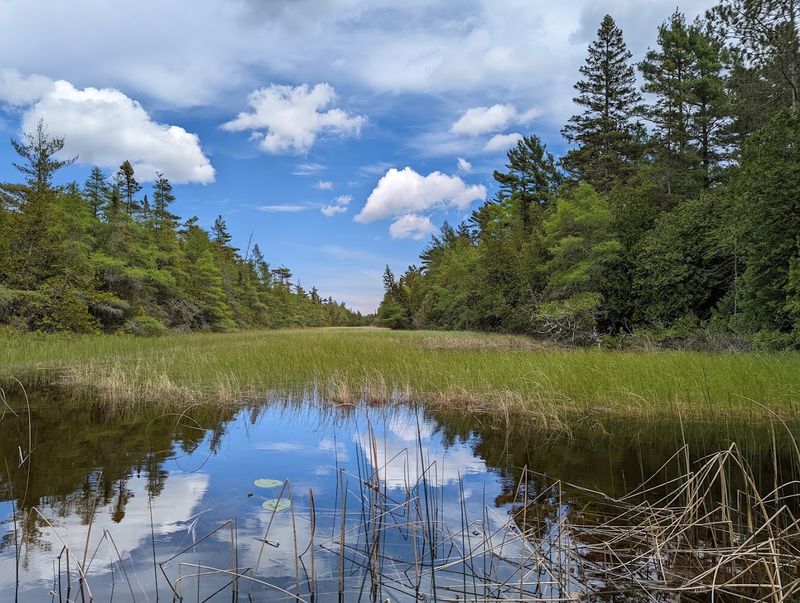 Nearly 500 Plant Species Grow Throughout The Sanctuary