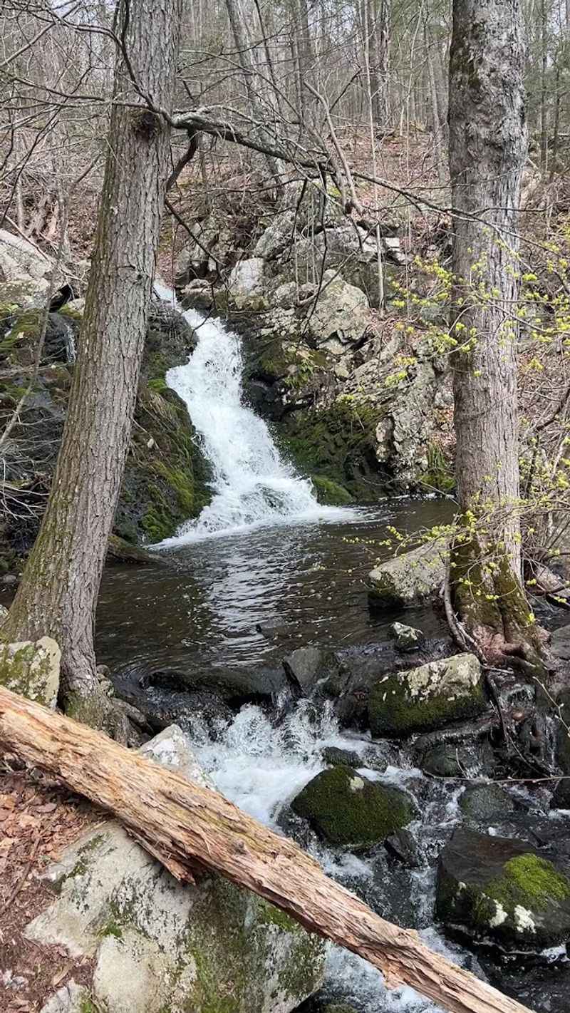 The River That Quenches A Region