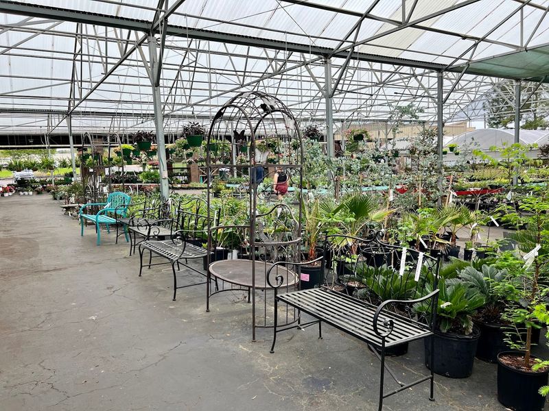 Seeds, Herbs, And The Organic Aisle Worth Hunting Down