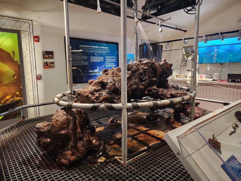 Whydah Pirate Museum, West Yarmouth