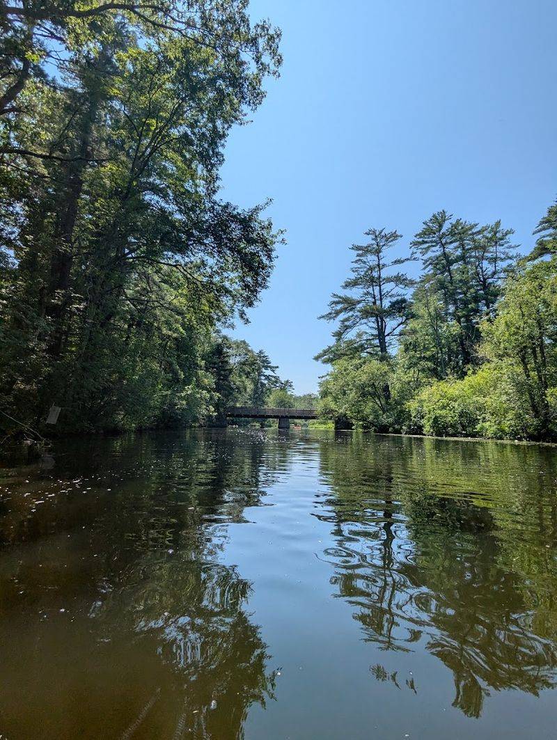 Gliding Through A North Shore Sanctuary