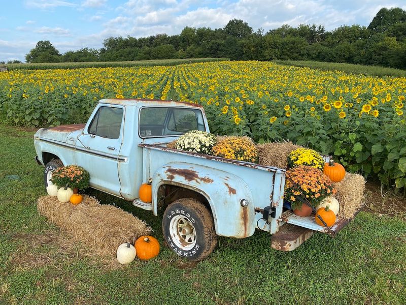 Seasonal Delights Beyond The Harvest