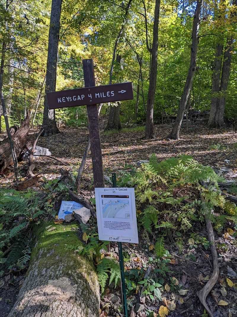 Planning Your New York Section Hike