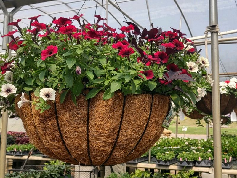 Guidance For The Green Thumb