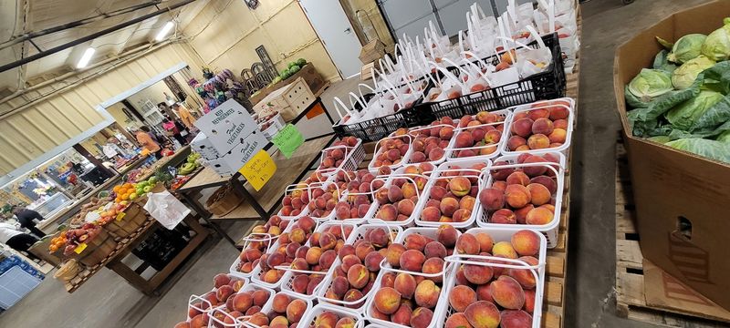 Nutrition Benefits Of Fresh Sweet