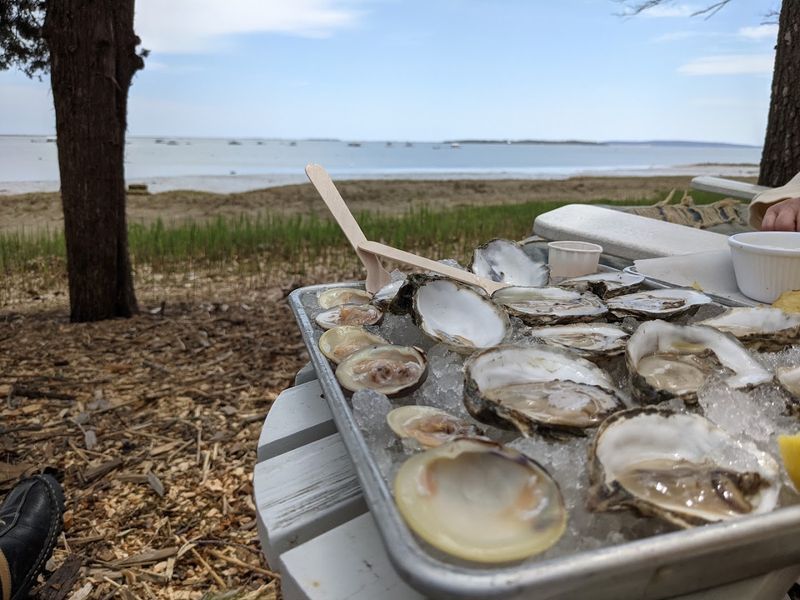 This Feast Takes You Straight From The Bay To Your Plate