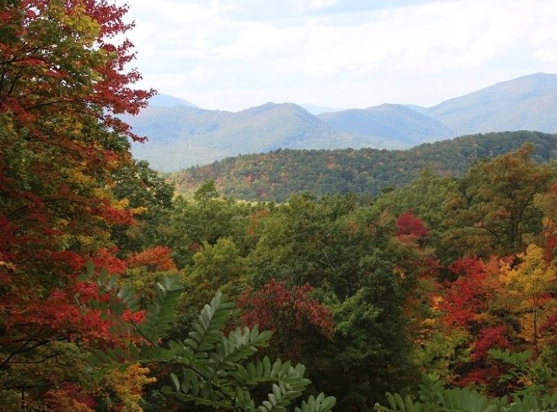Embracing Nature's Grand Design