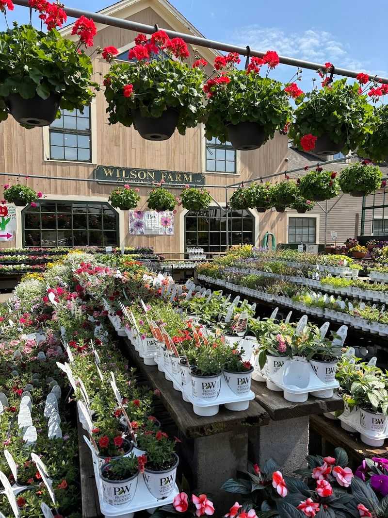 A Garden Center And Flower Shop That Brings The Farm Home