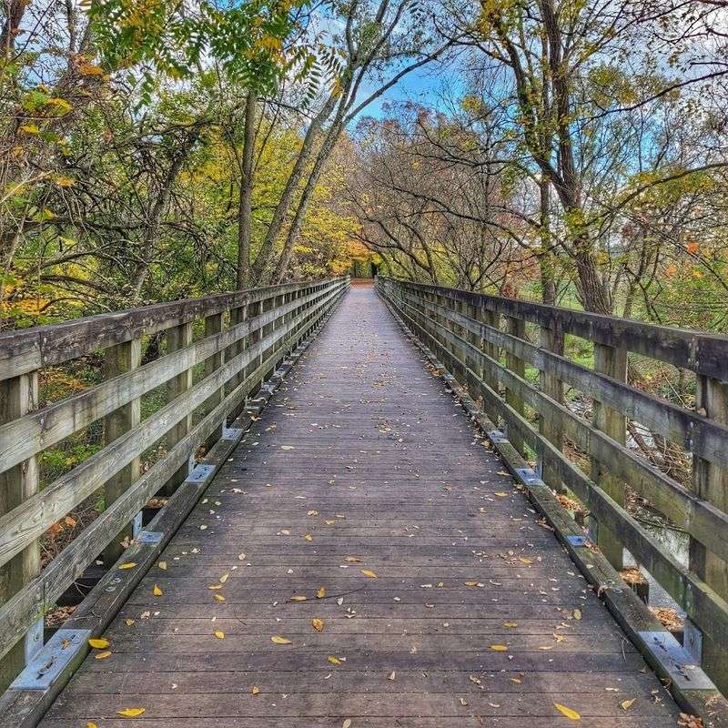 The Virginia Creeper Trail Keeps Everyone Moving