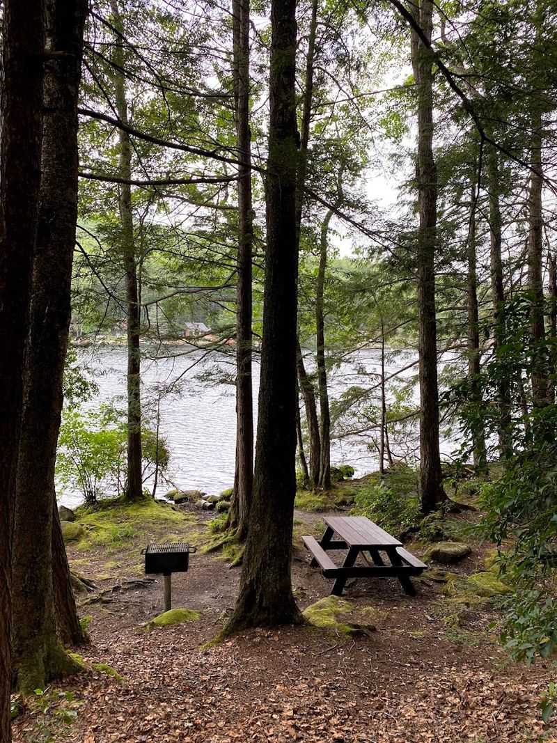 Camping Above The Lake