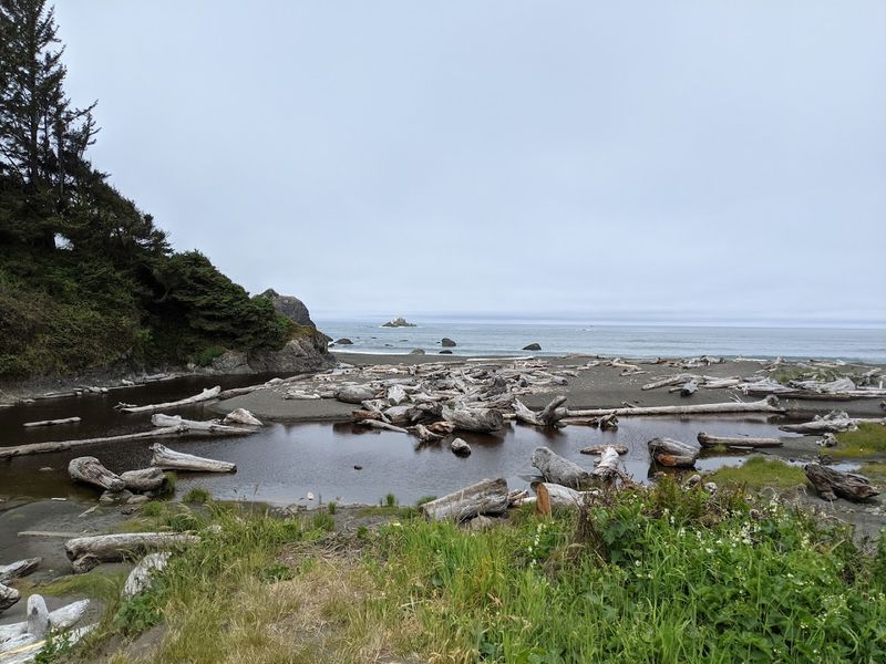 Tide Pools That Turn Low Tide Into A Science Lesson