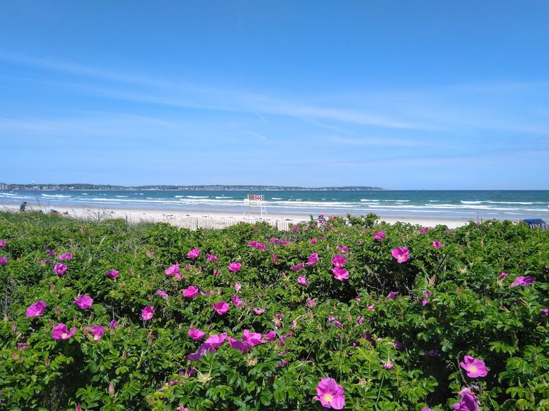 Ocean Activities Worth Waking Up For