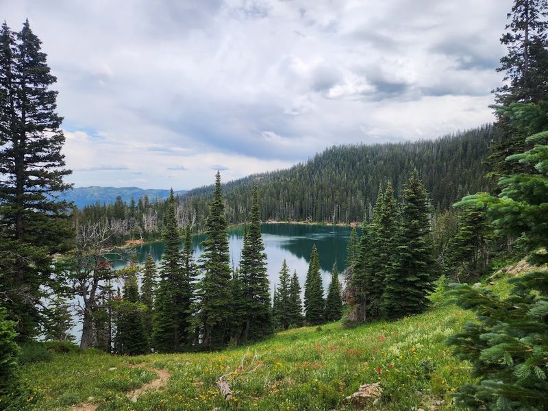 Alpine Lakes Appear Far Beyond The Last Easy Turnaround