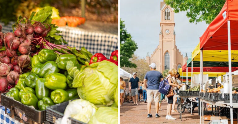 The Best Tomatoes In South Carolina Are Said To Come From This Saturday Morning Market