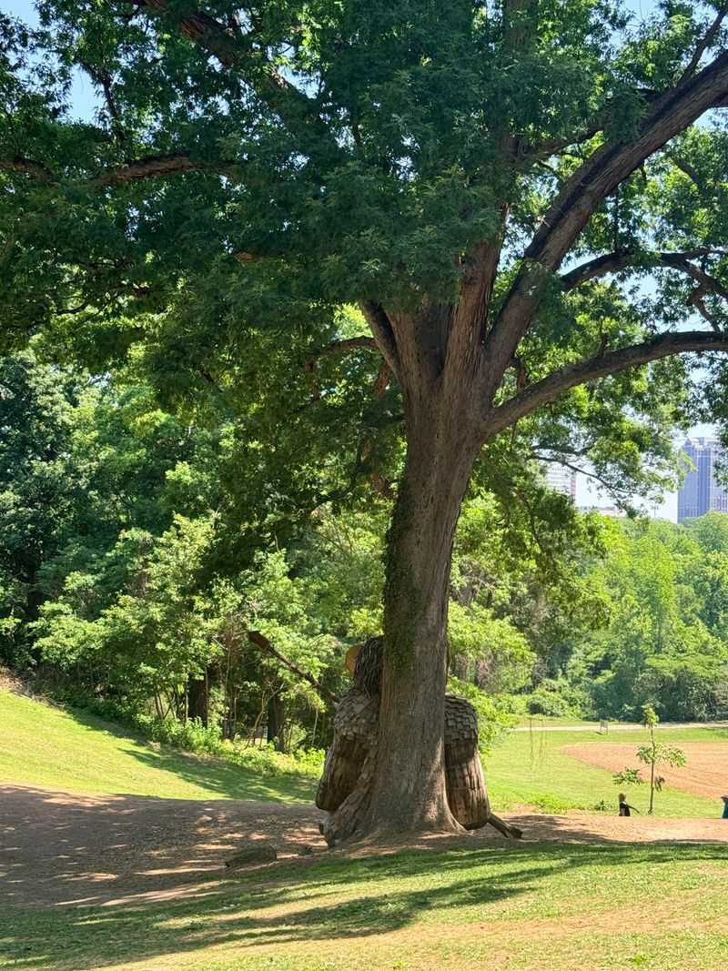 Dog Park Paradise