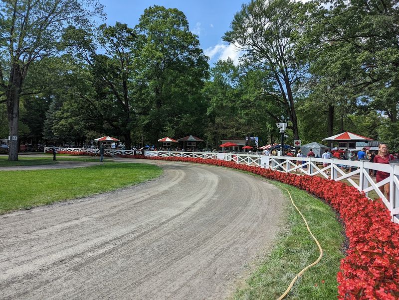 Walking With Champions: The Paddock Experience
