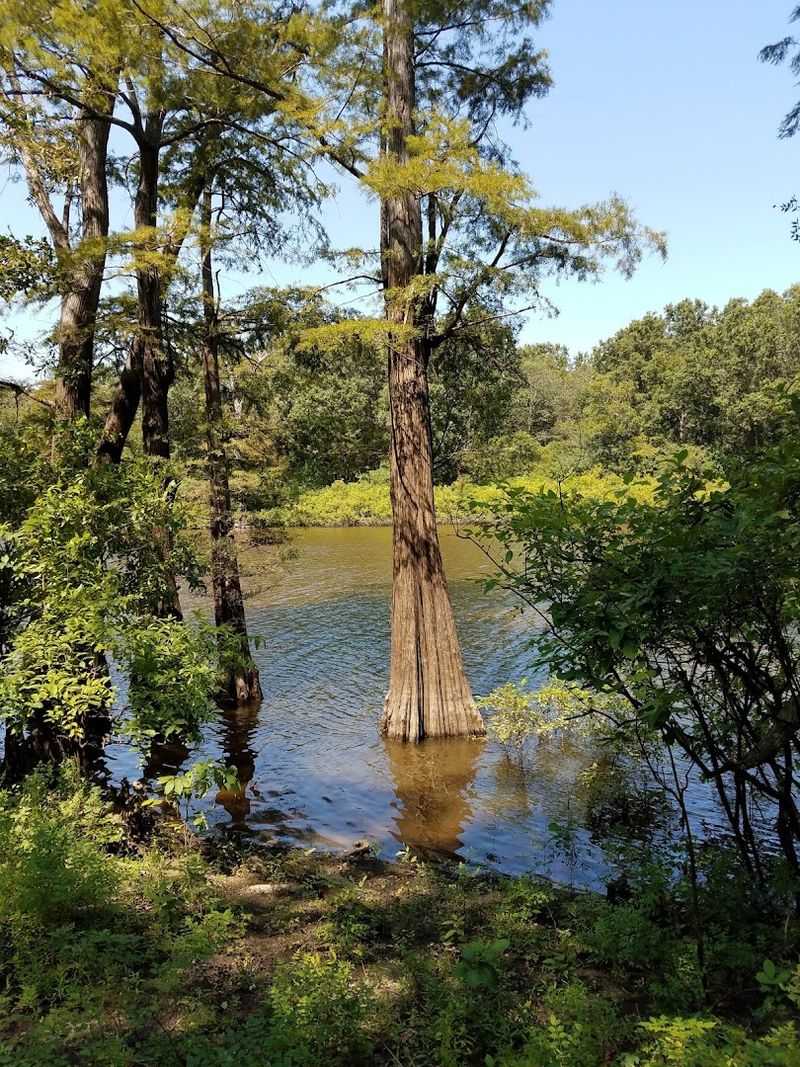 Hunting Seasons That Draw Visitors From Across The Region