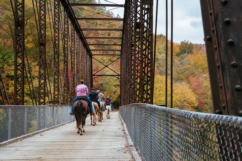Charit Creek Lodge And The Rewards Of Going Remote