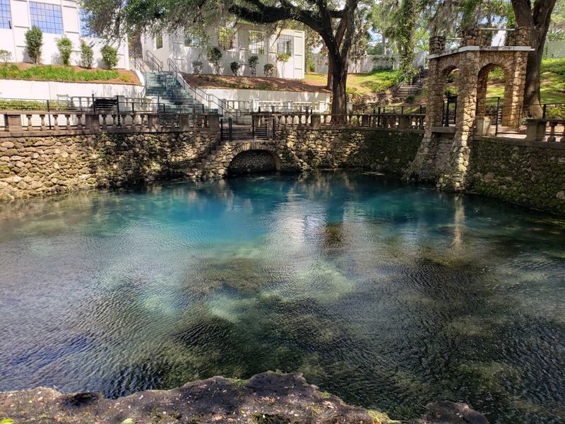 Georgia's Largest Natural Spring And Its Deep Roots