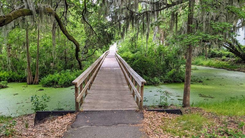 Cypress Wetlands Brings Wild Neighbors Right Into Town