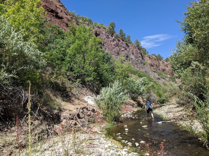 Wildlife That Shares The Trail