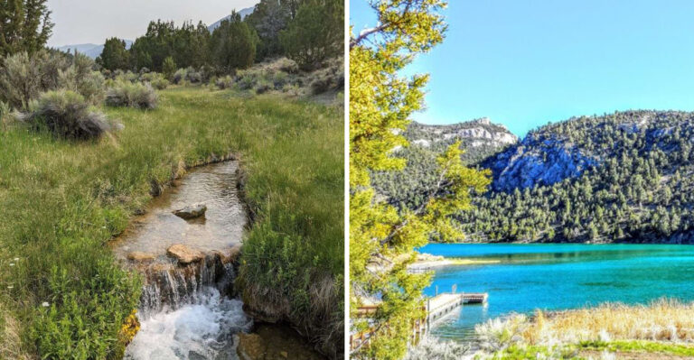 The Calm And Quiet Of Fishing Hits Different At This Small Nevada Lake